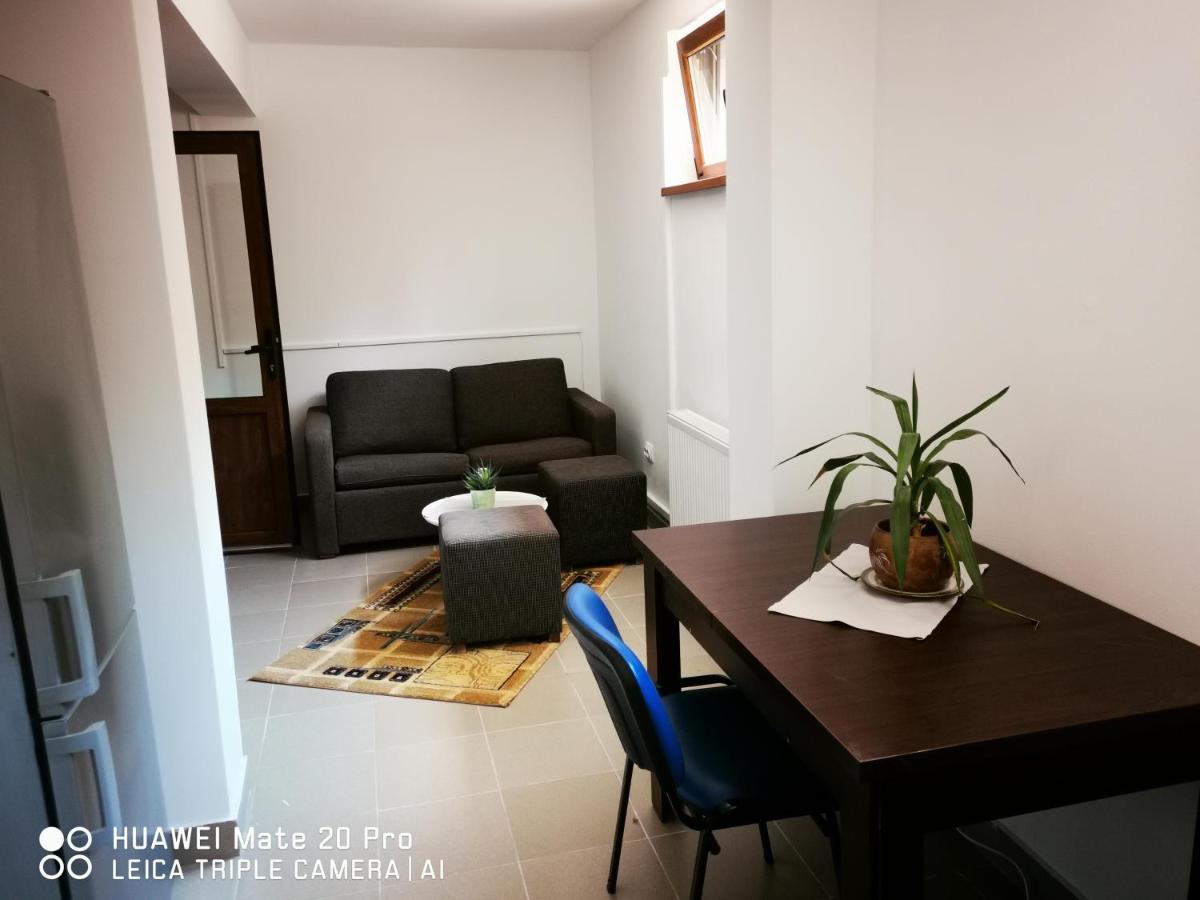 Cluj City Marasti Apartament 2 Екстер'єр фото